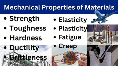 Mechanical properties of whole